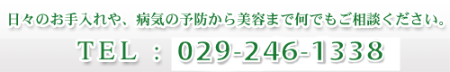 病気の治療だけでなく、日々のお手入れや、病気の予防から美容まで何でもご相談ください。